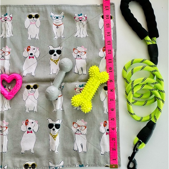 NWT🐾🩵Dog Gift Bag Reusable Pet Print Satchel 🩵Comes w/leash,blanket & 5 toys - Picture 12 of 12
